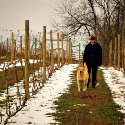 Maggie Malick walking dog in vineyard during winter