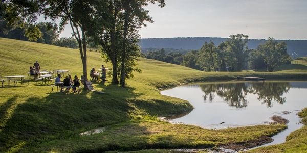 Grassy picnic area near a pond