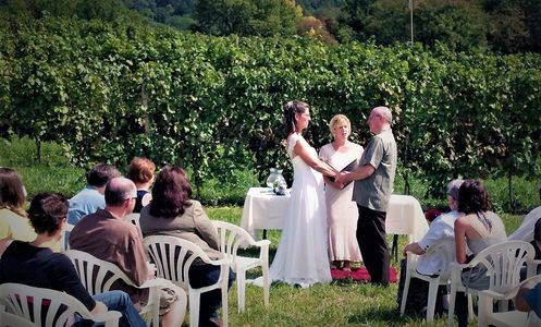 wedding in a vineyard
