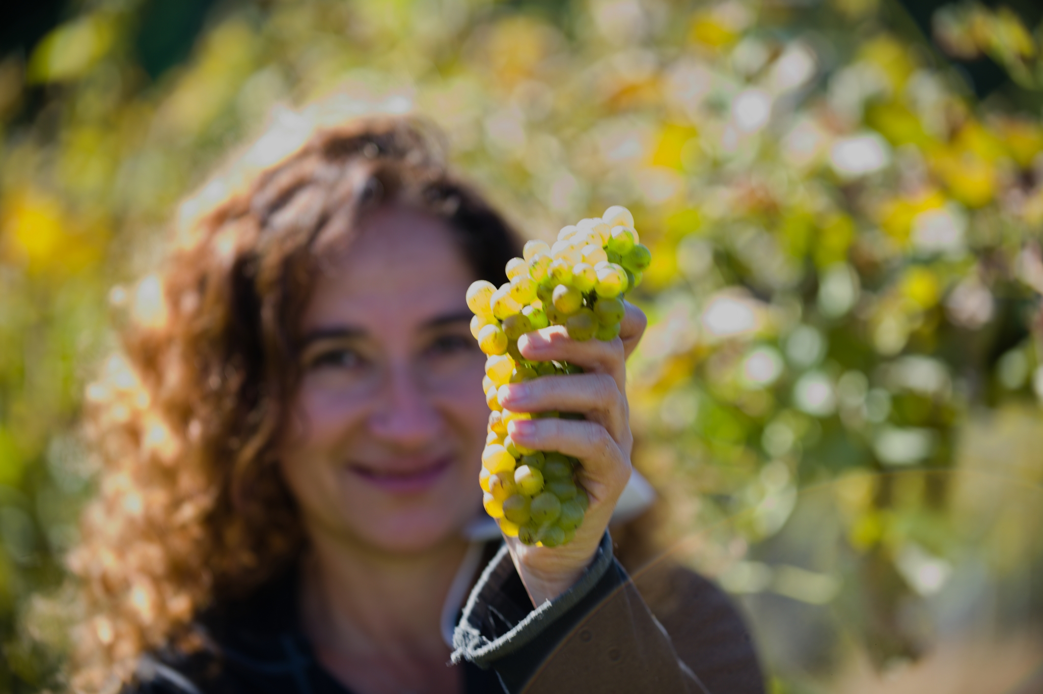 Holding grapes