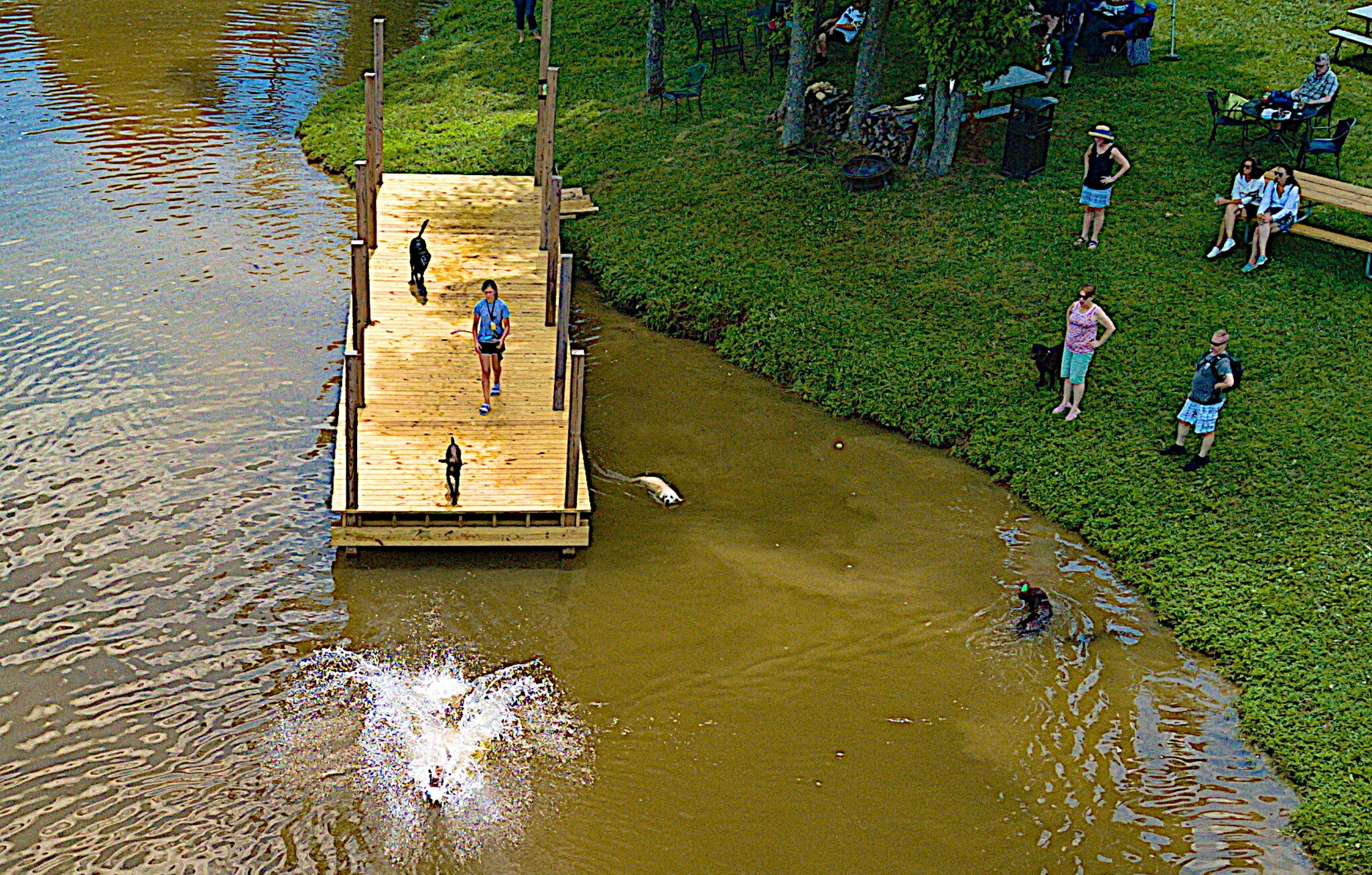 Dock Jumping